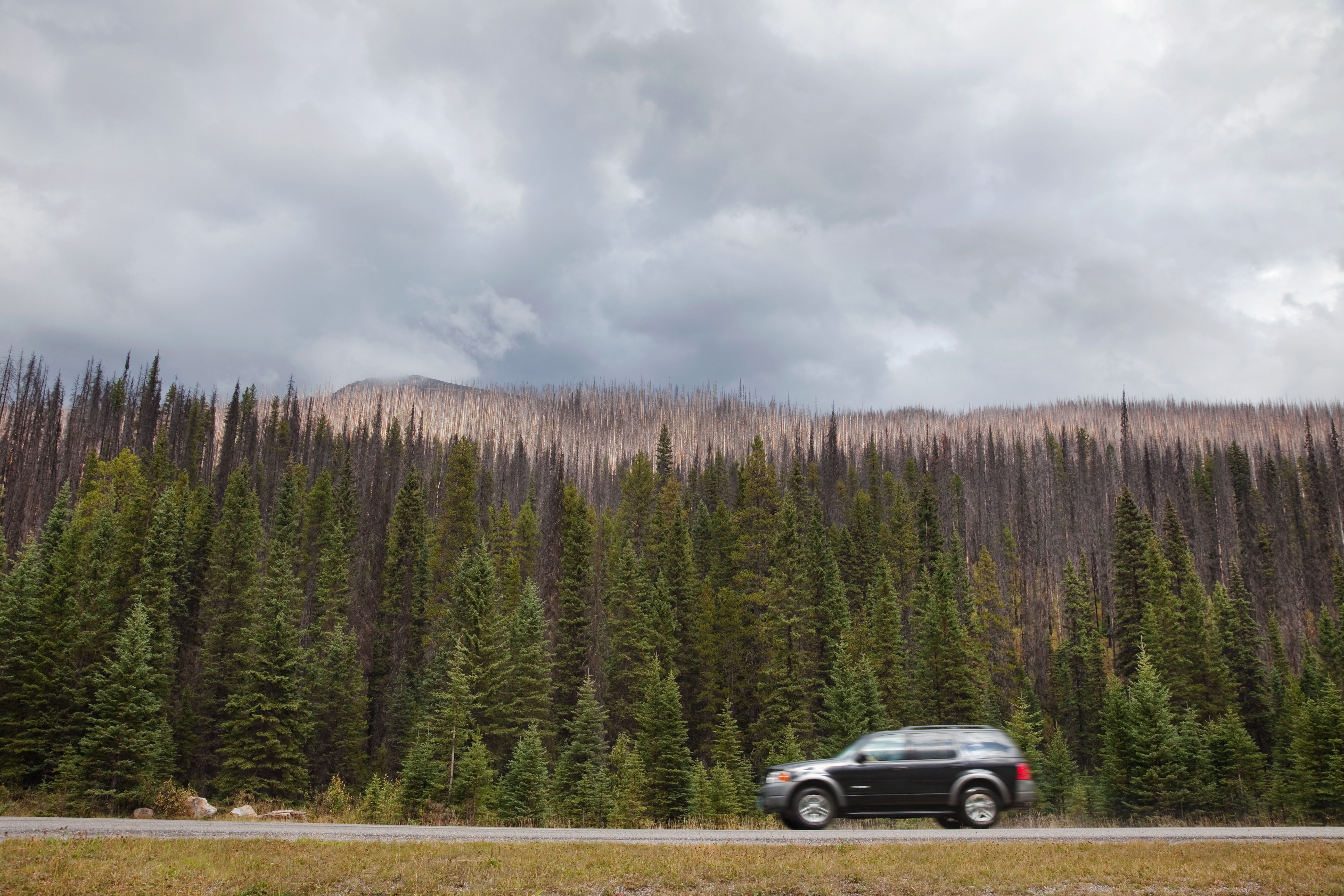 Car on road passing forest, British Columbia, Canada British Columbia Highway